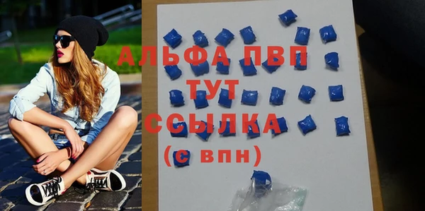 индика Абинск