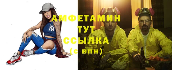крисы Алзамай