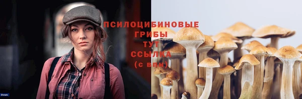 индика Абинск