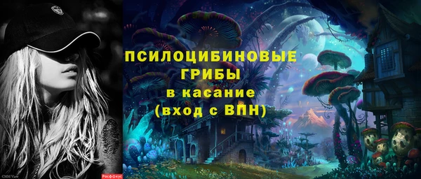 не бодяженный Алексин