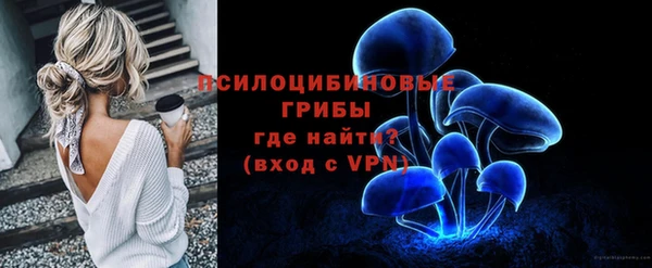 индика Абинск